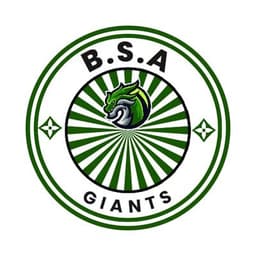 BSA